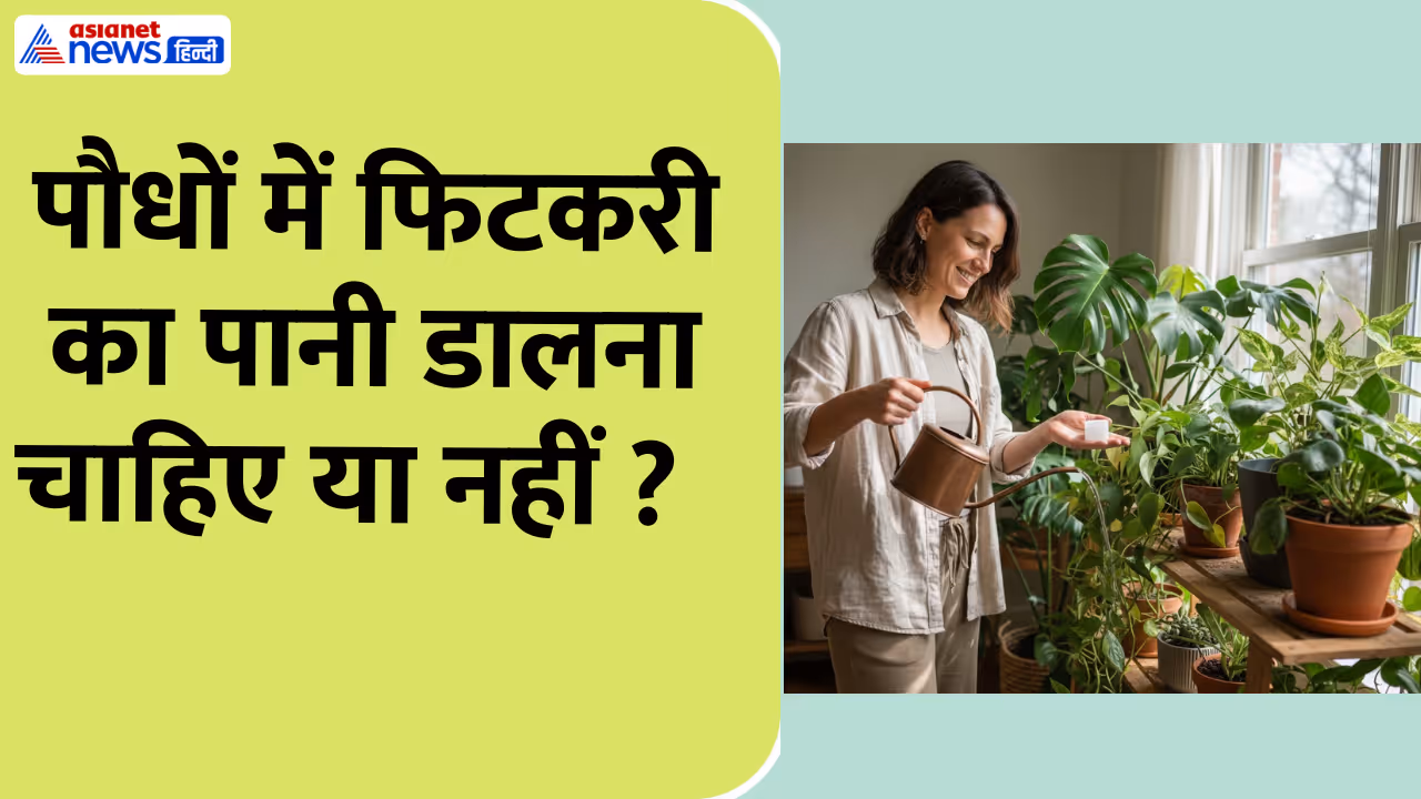 alum benefits for plants alum benefits for plants