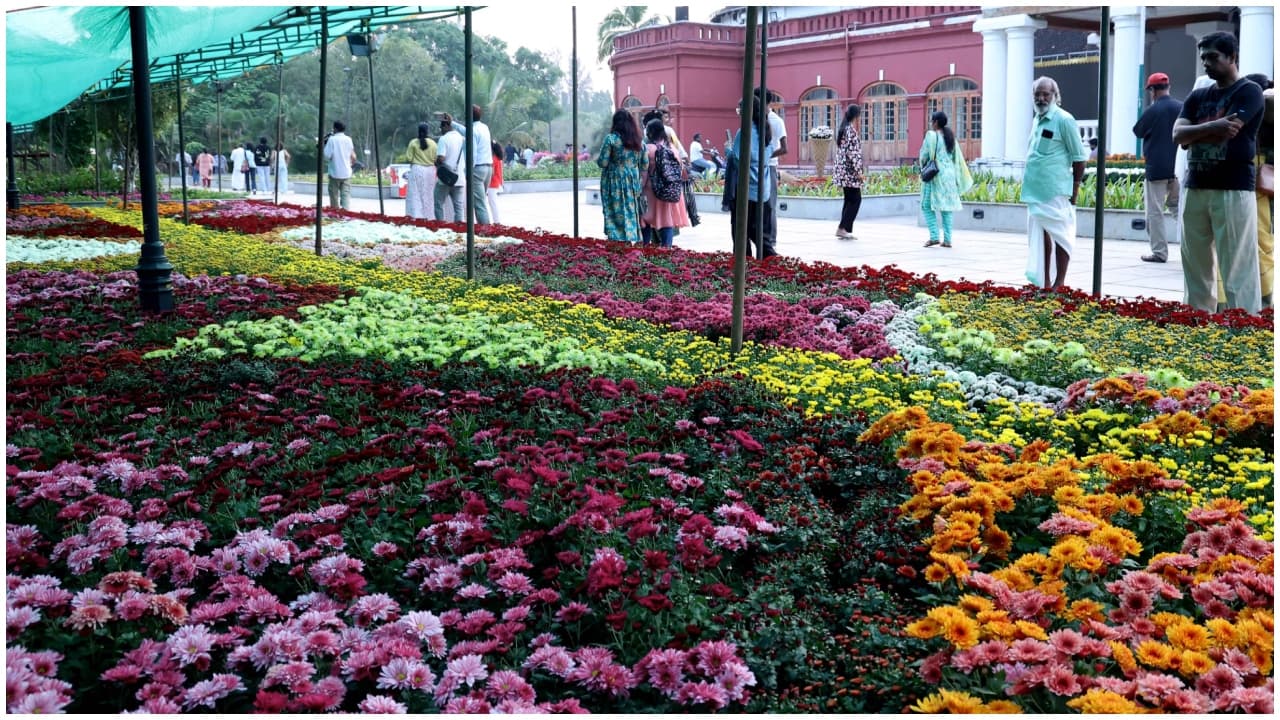 Vasantholsavam Vasantholsavam
