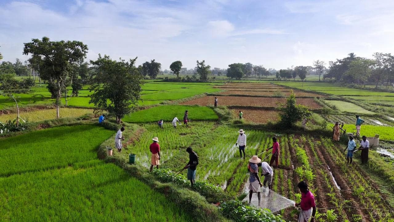 Farmer Training Farmer Training