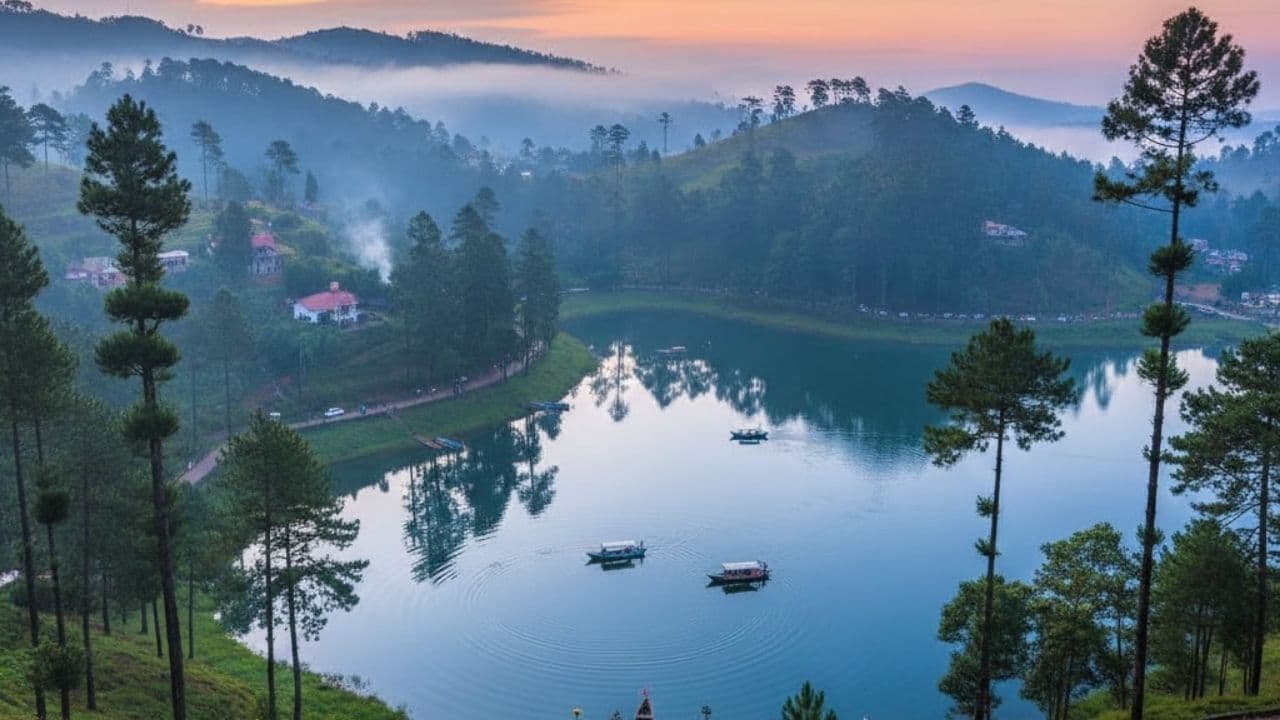 Lulung in jungle Mahal Lulung in jungle Mahal