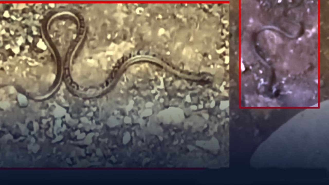 Veerabhadreshwara Temple Veerabhadreshwara Temple