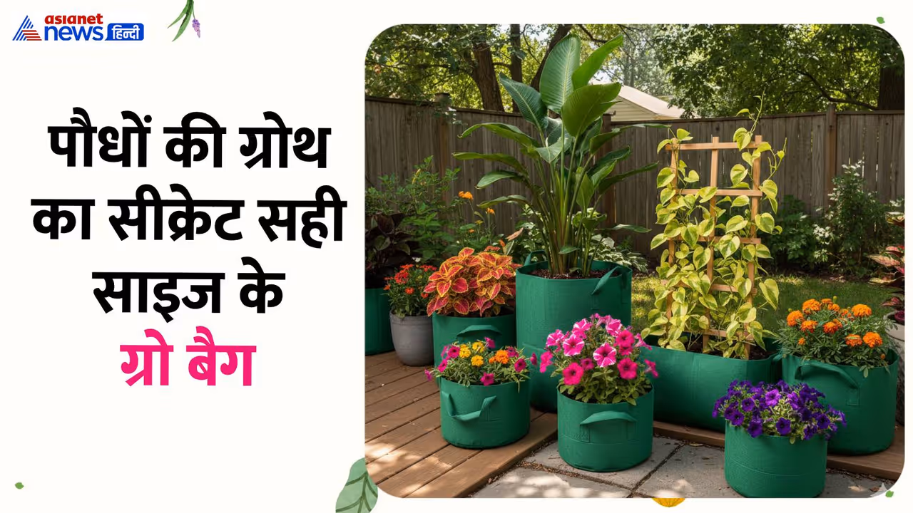 Grow Bag Size Guide Grow Bag Size Guide