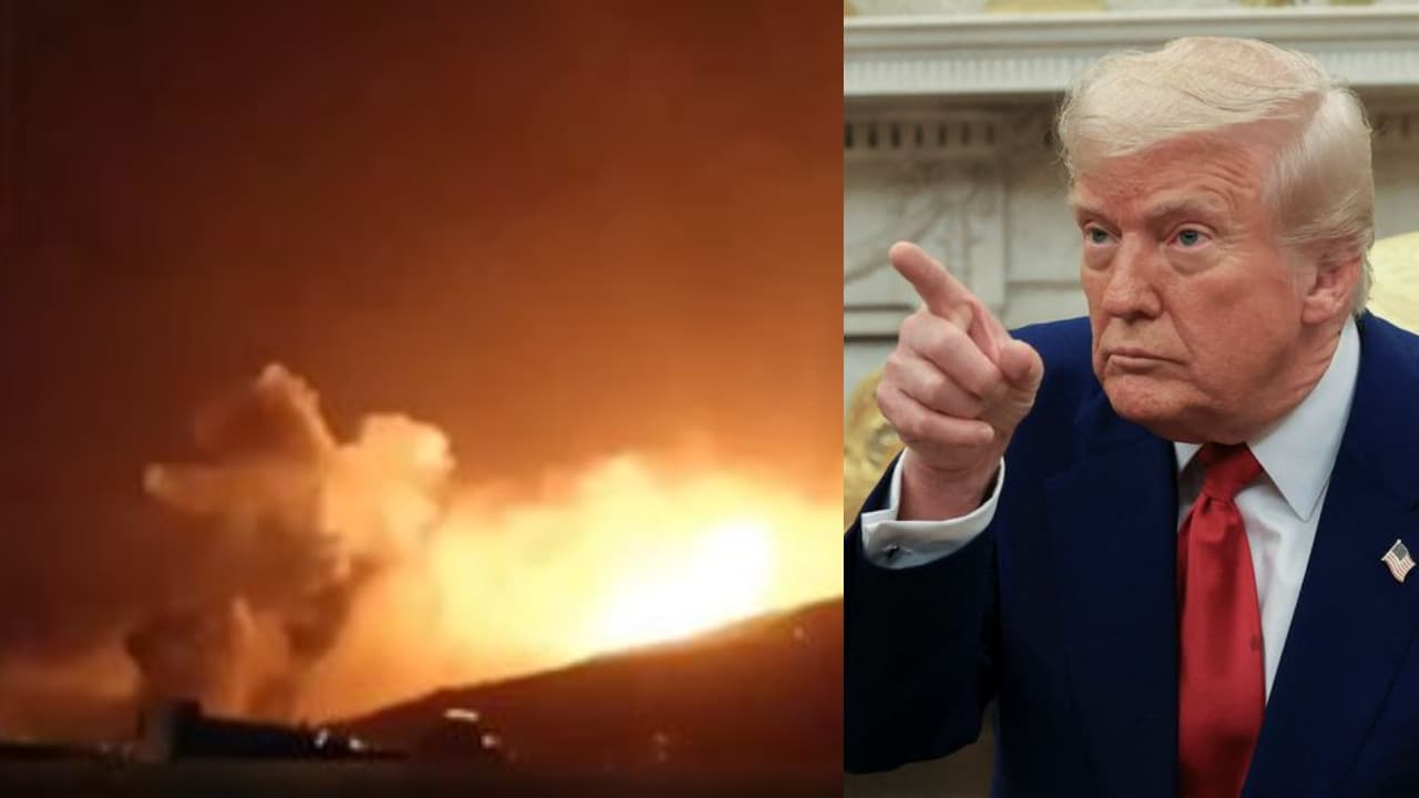 Donald trump Donald trump