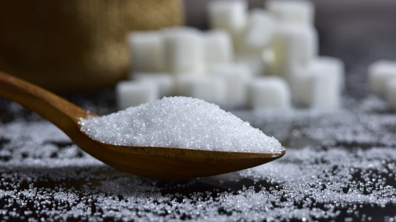Sugar and Ants Sugar and Ants