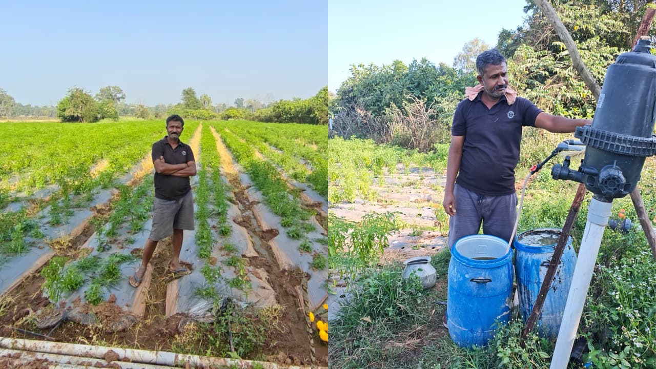 Chhattisgarh News: नक्सल प्रभावित क्षेत्र के किसान ने धान से मिर्च तक  बहुफसली आधुनिक खेती से बदली अपनी किस्मत | Chhattisgarh News Naxal Affected  Bijapur Phutkel Farmer Success ...
