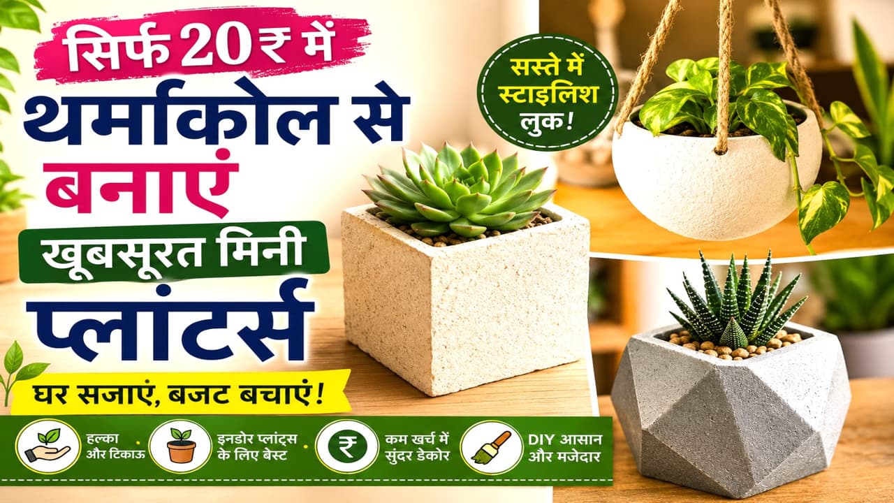 Thermocol planter ideas Thermocol planter ideas
