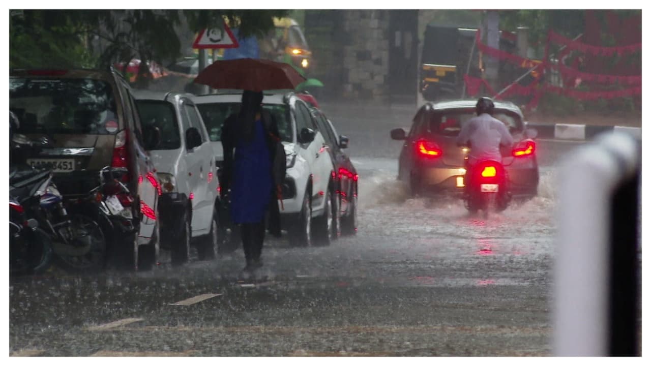 rain alert rain alert