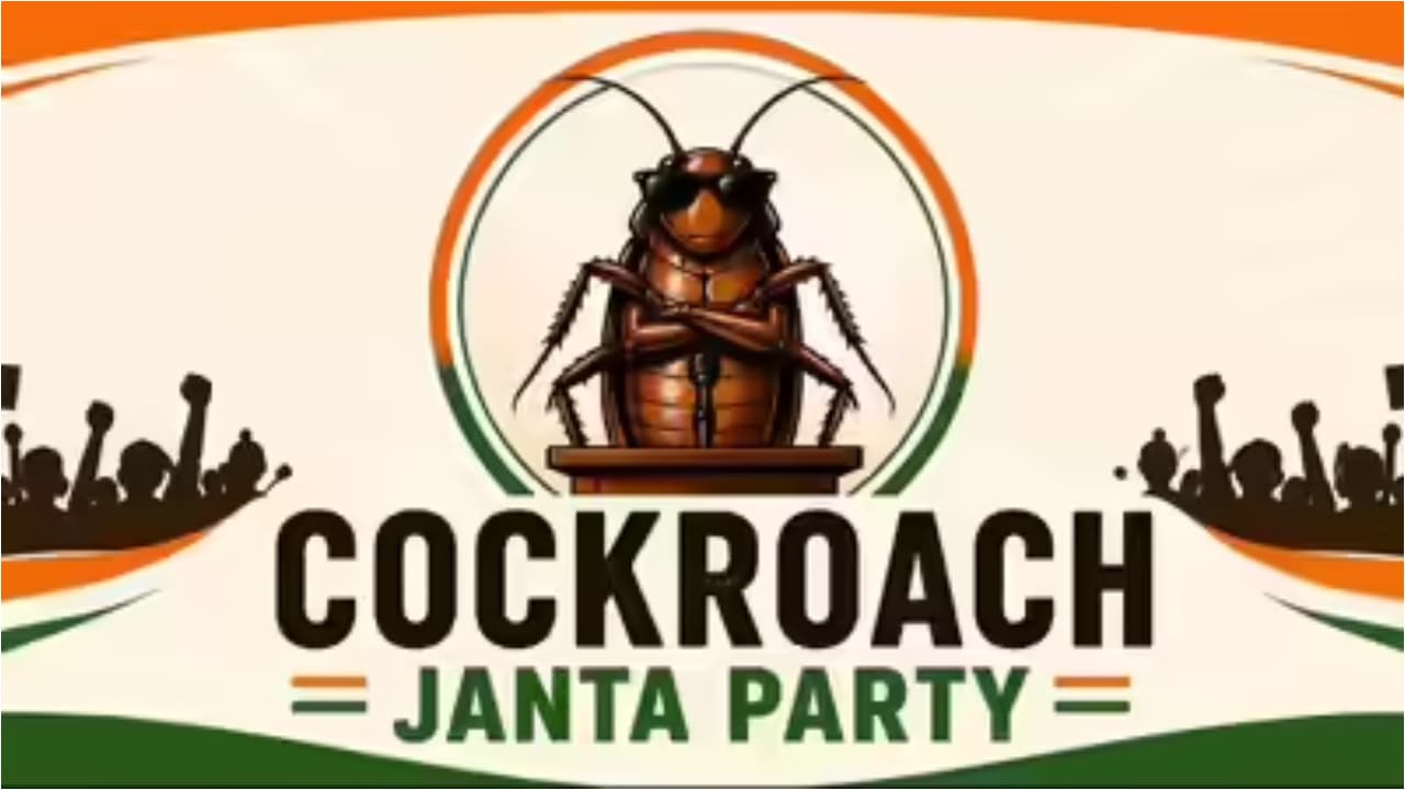 cjp cjp