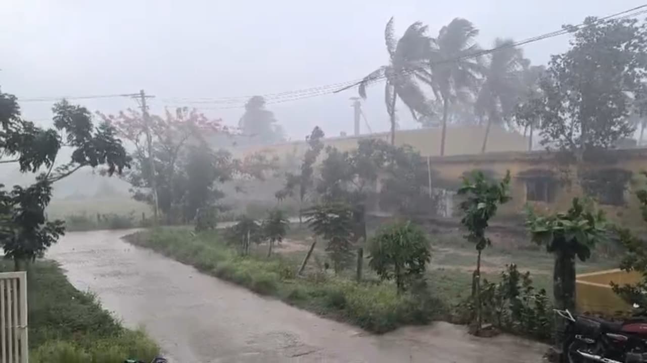 RAIN RAIN