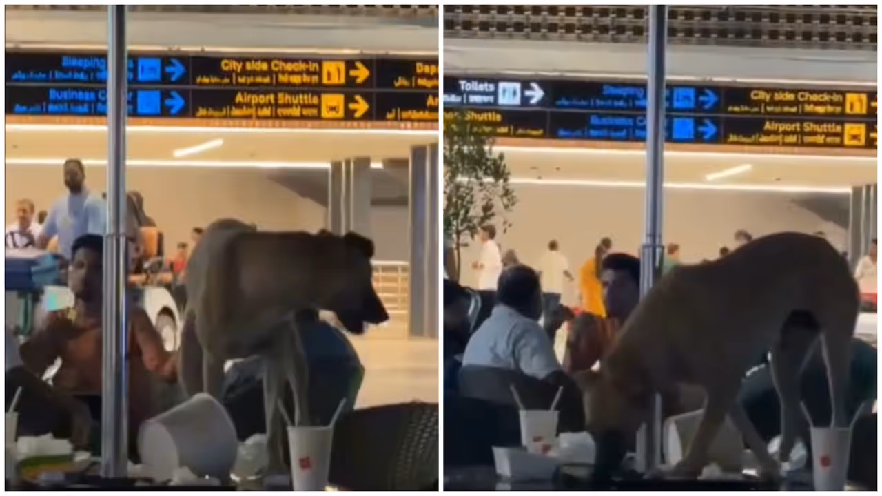 Hyderabad Hyderabad