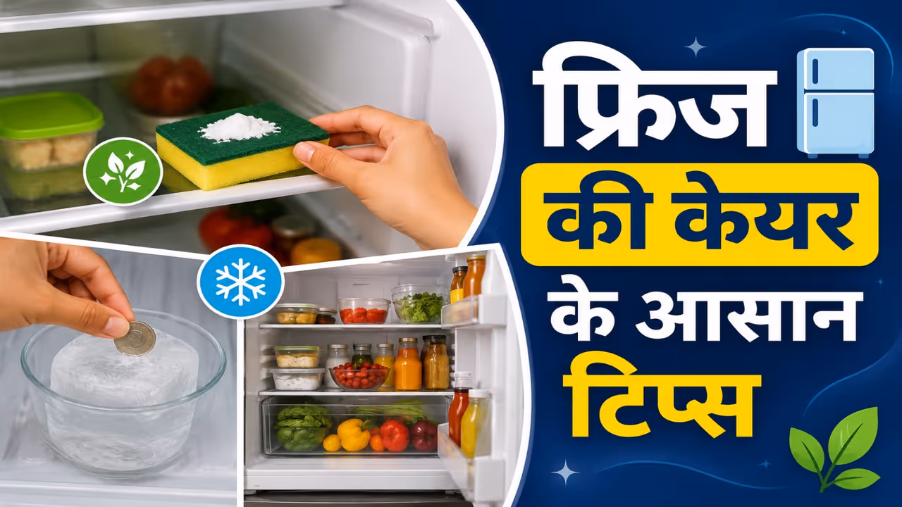 fridge care tips fridge care tips