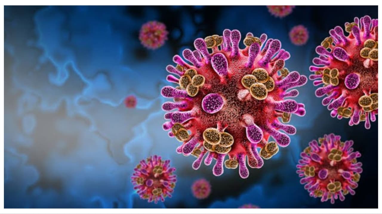 nipah virus nipah virus