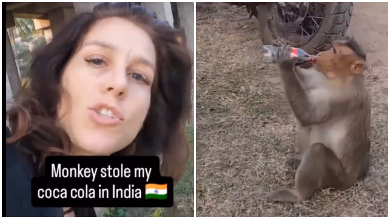 Viral Viral