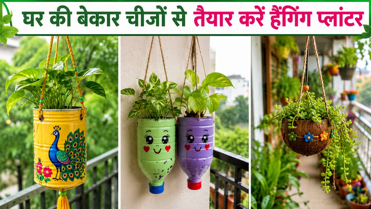 हैंगिंग प्लांटर हैंगिंग प्लांटर