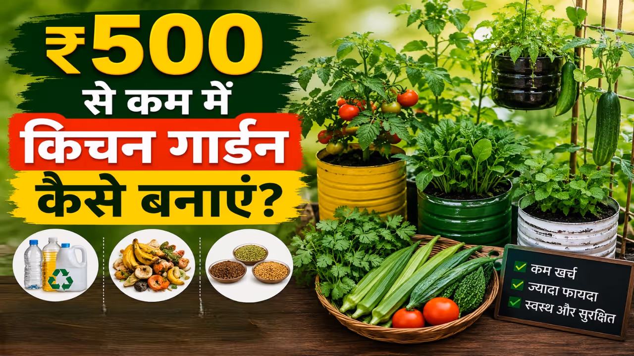 kitchen vegetable garden kitchen vegetable garden