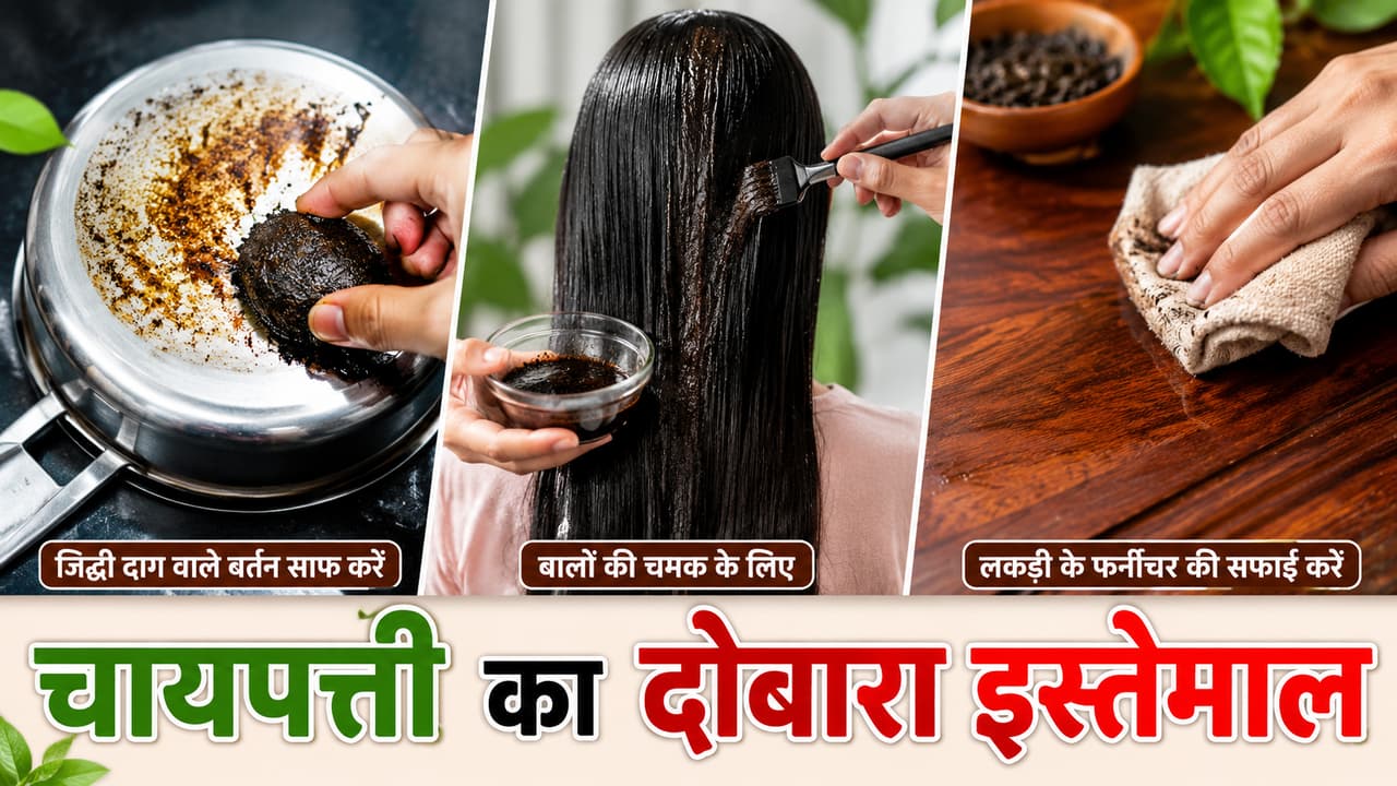 चायपत्ती चायपत्ती