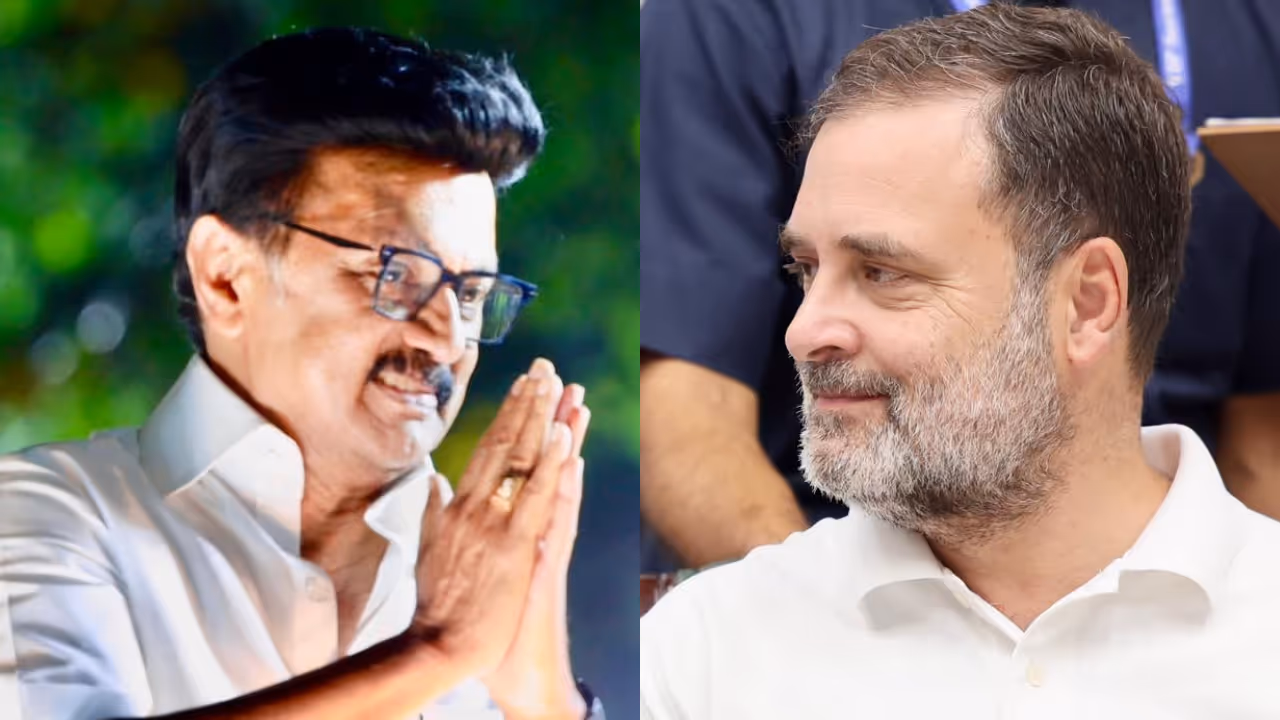 M K Stalin on Rahul Gandhi M K Stalin on Rahul Gandhi