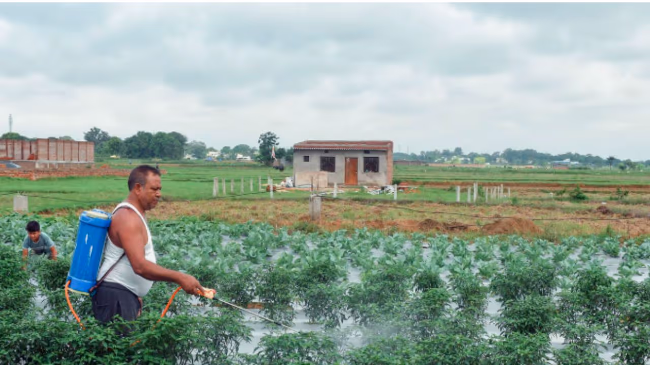 Farming Farming