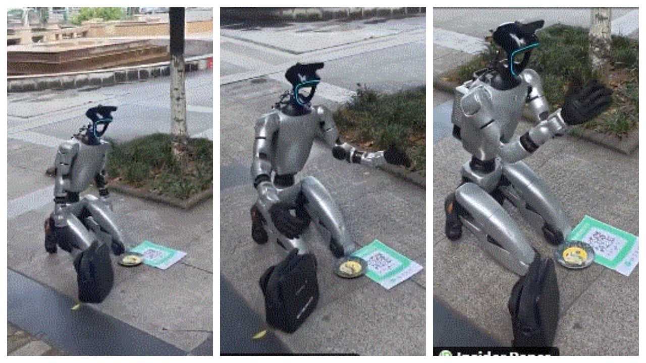 Robot Begging Robot Begging