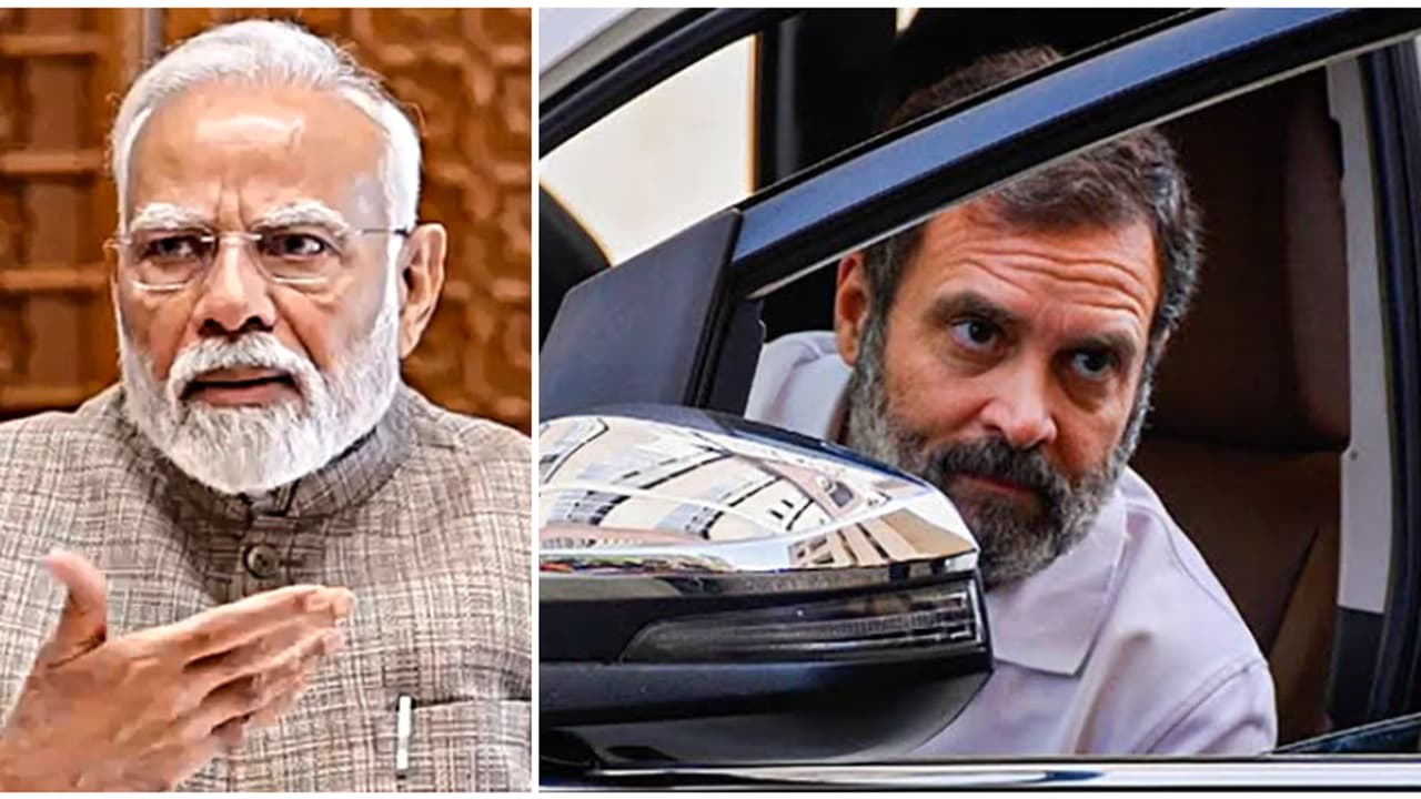 rahul modi rahul modi