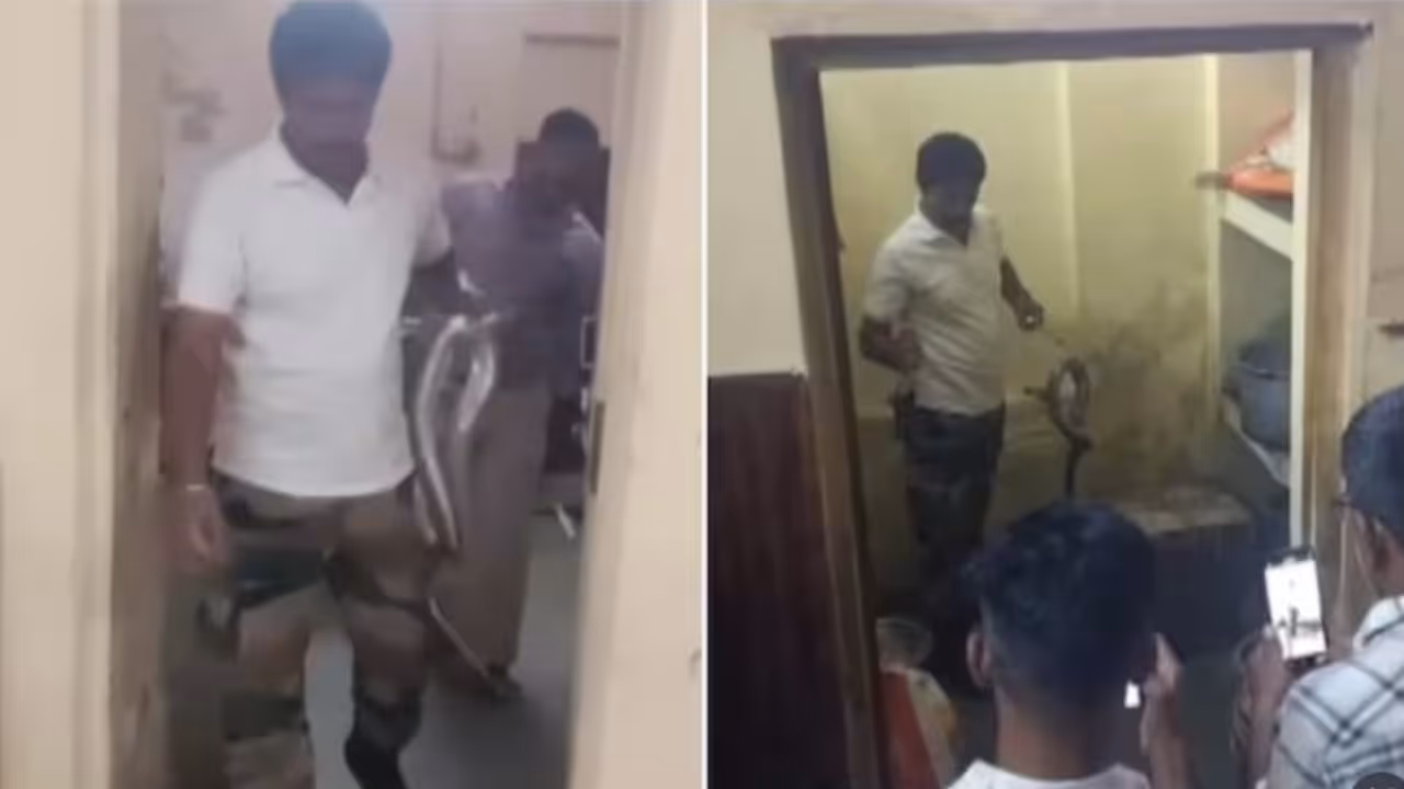 Rajasthan Rajasthan