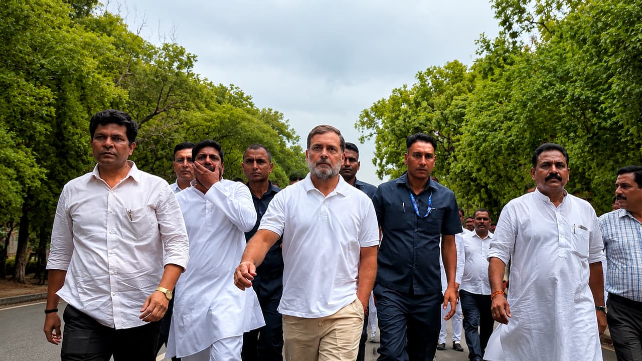 rahul gandhi neet paper leak three demands dharmendra pradhan resignation rahul gandhi neet paper leak three demands dharmendra pradhan resignation