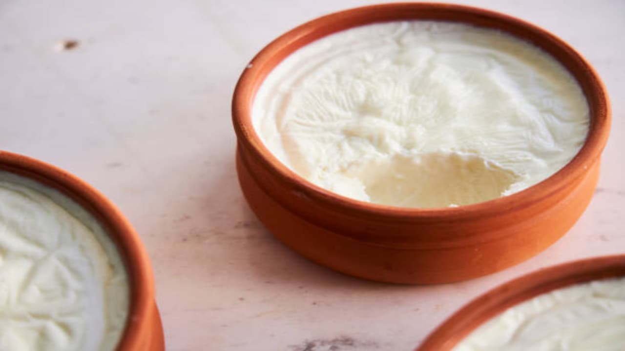 curd in monsoon cause cold curd in monsoon cause cold
