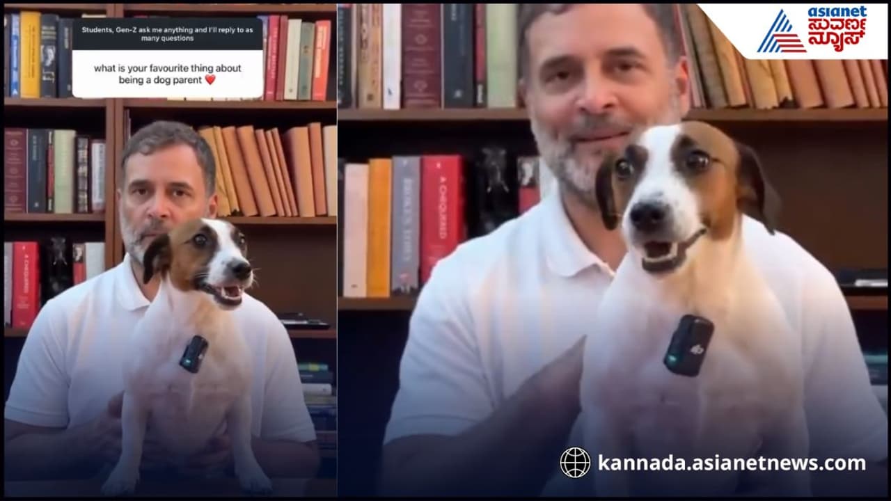 Rahul Gandhi Rahul Gandhi