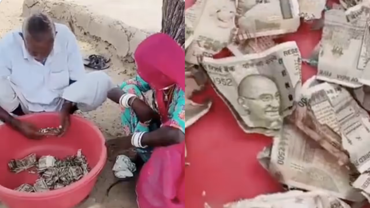 Balotra Farmer Buried Rs 5 Lakh in Field and Forgot the Spot Found Cash After a Year Balotra Farmer Buried Rs 5 Lakh in Field and Forgot the Spot Found Cash After a Year