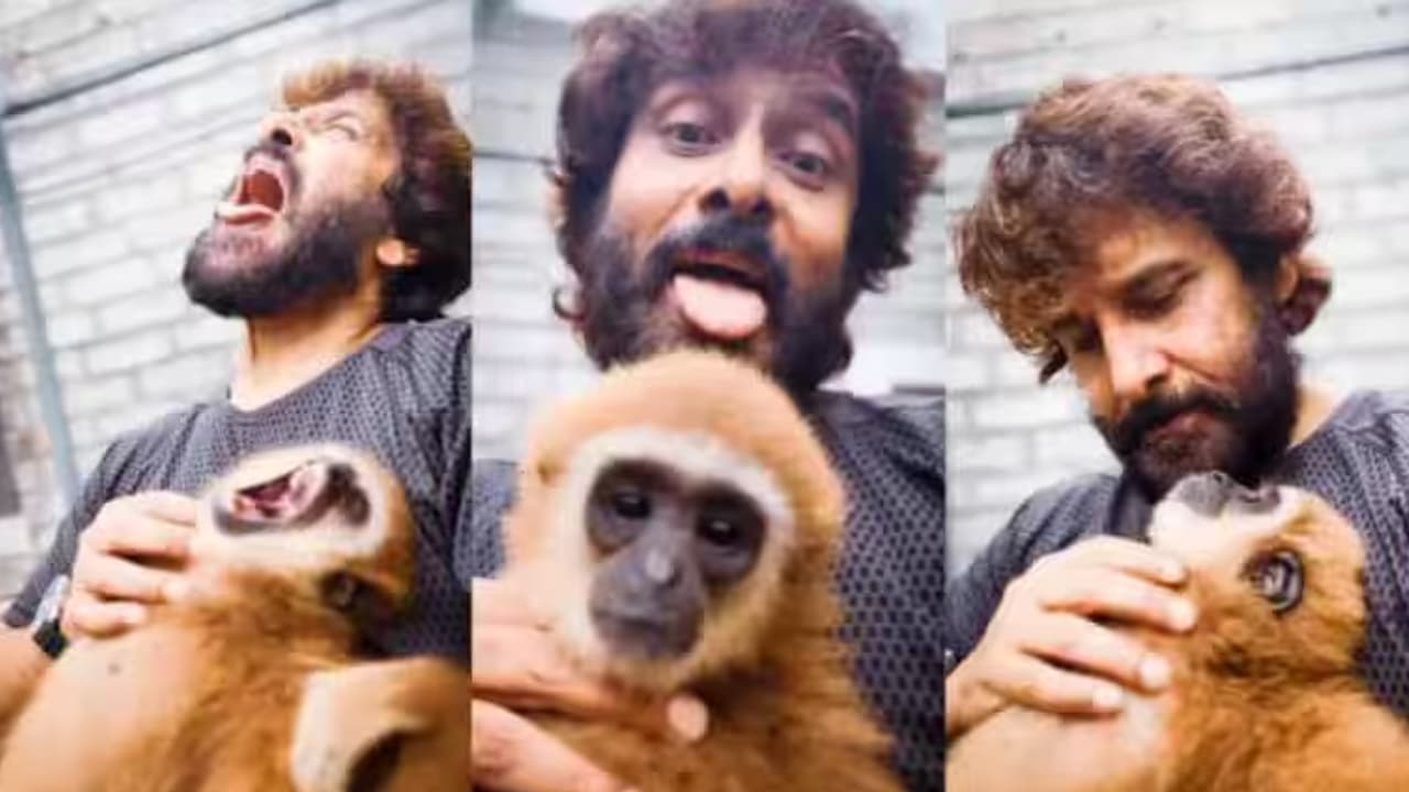 Chiyaan Vikram’s Exotic Animal Viral Video Got Deleted, Raises Questions Over Gibbon’s Ownership Chiyaan Vikram’s Exotic Animal Viral Video Got Deleted, Raises Questions Over Gibbon’s Ownership