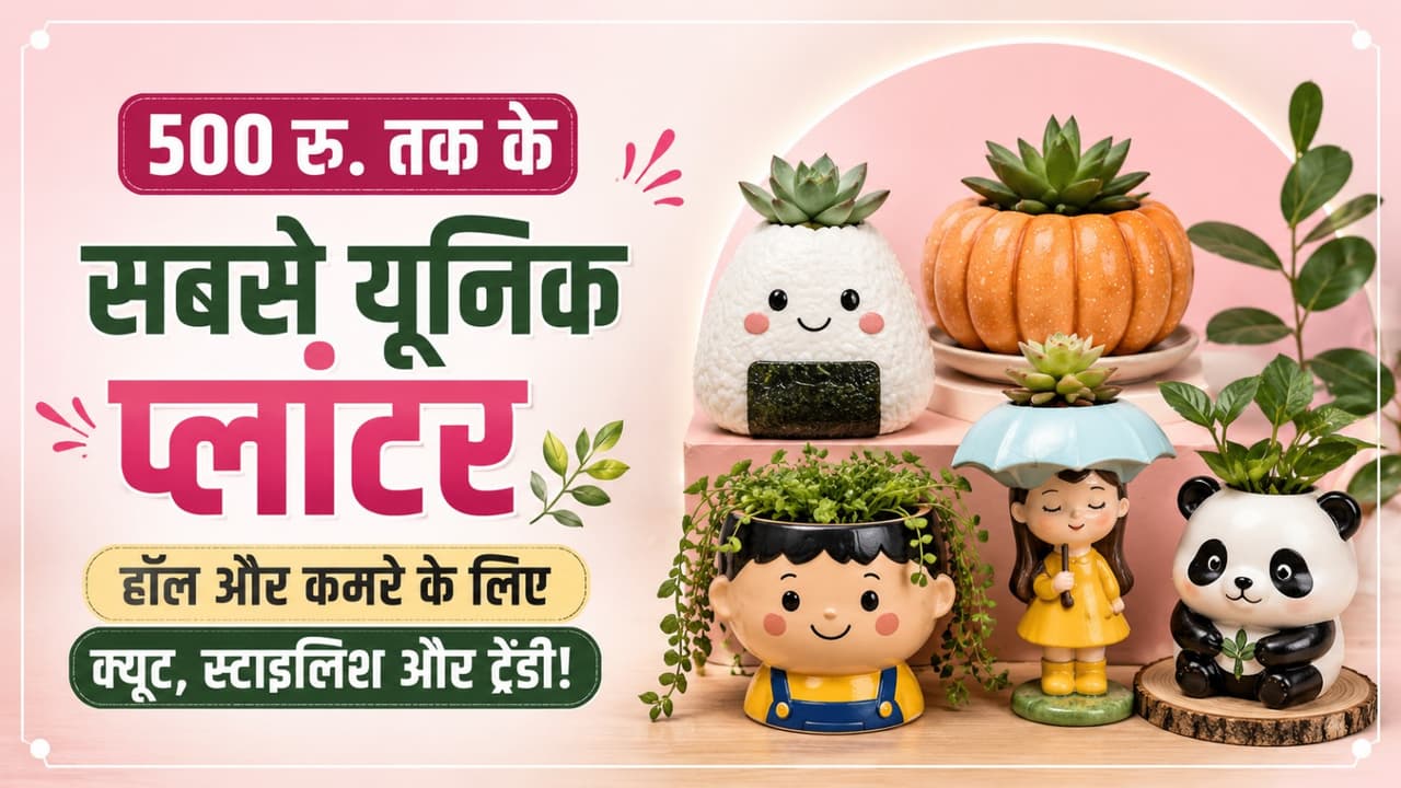 Cute Planters Cute Planters