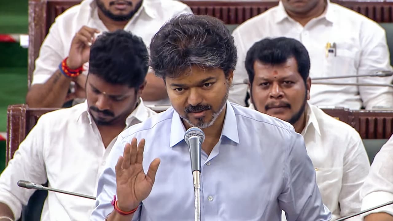 Vijay Vijay