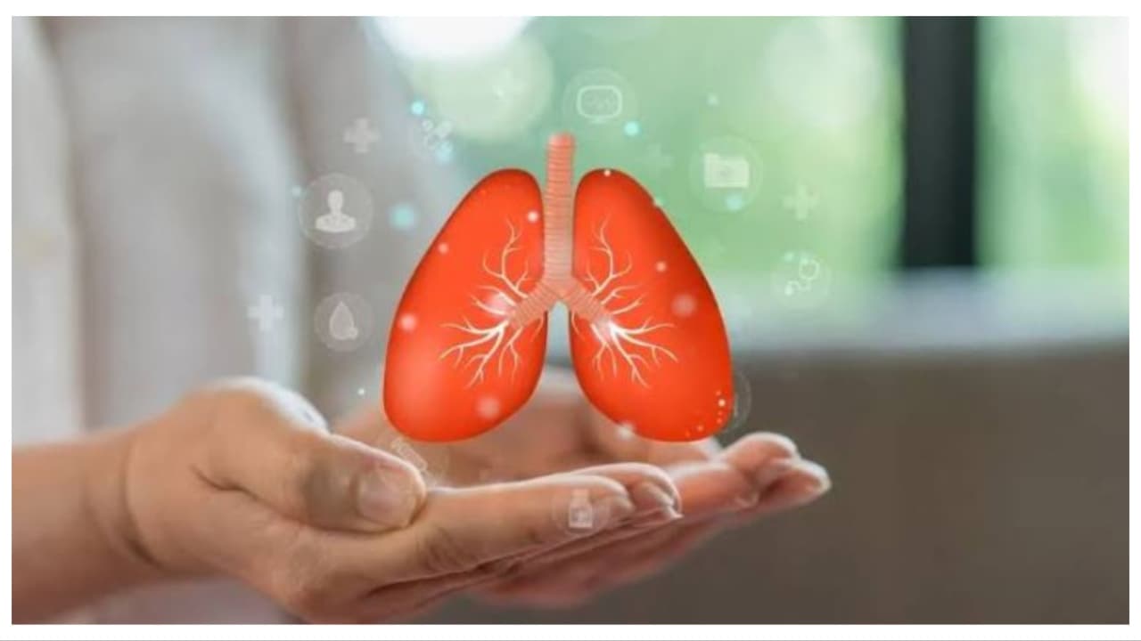Lung Transplant for Chronic Disease: Who May Benefit, What Patients Should Know Lung Transplant for Chronic Disease: Who May Benefit, What Patients Should Know