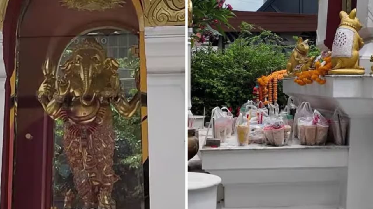 Viral Video Viral Video