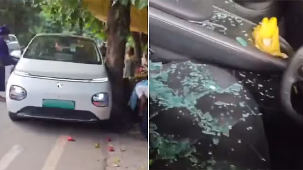 Punjab Man’s EV Drives Off Without Him, Crashes Into Fruit Cart Punjab Man’s EV Drives Off Without Him, Crashes Into Fruit Cart