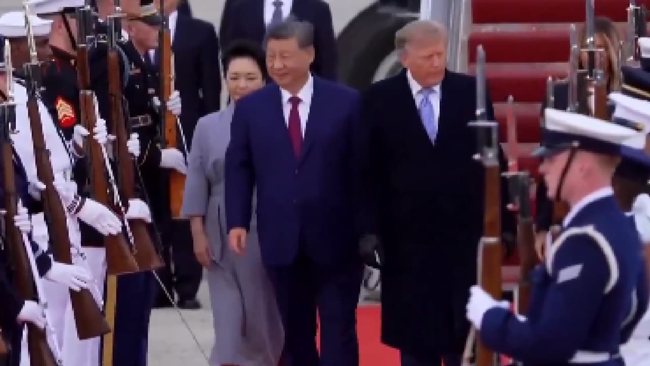 Donald Trump gloves Donald Trump gloves