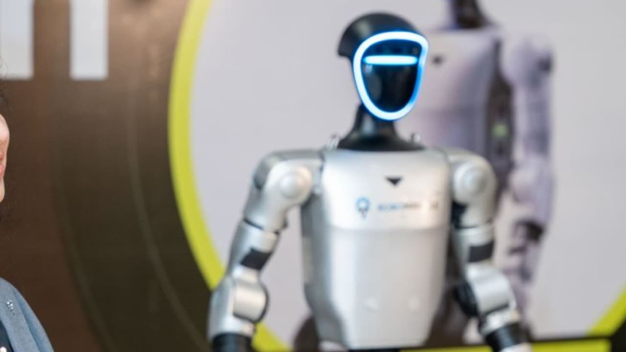 Robot Robot