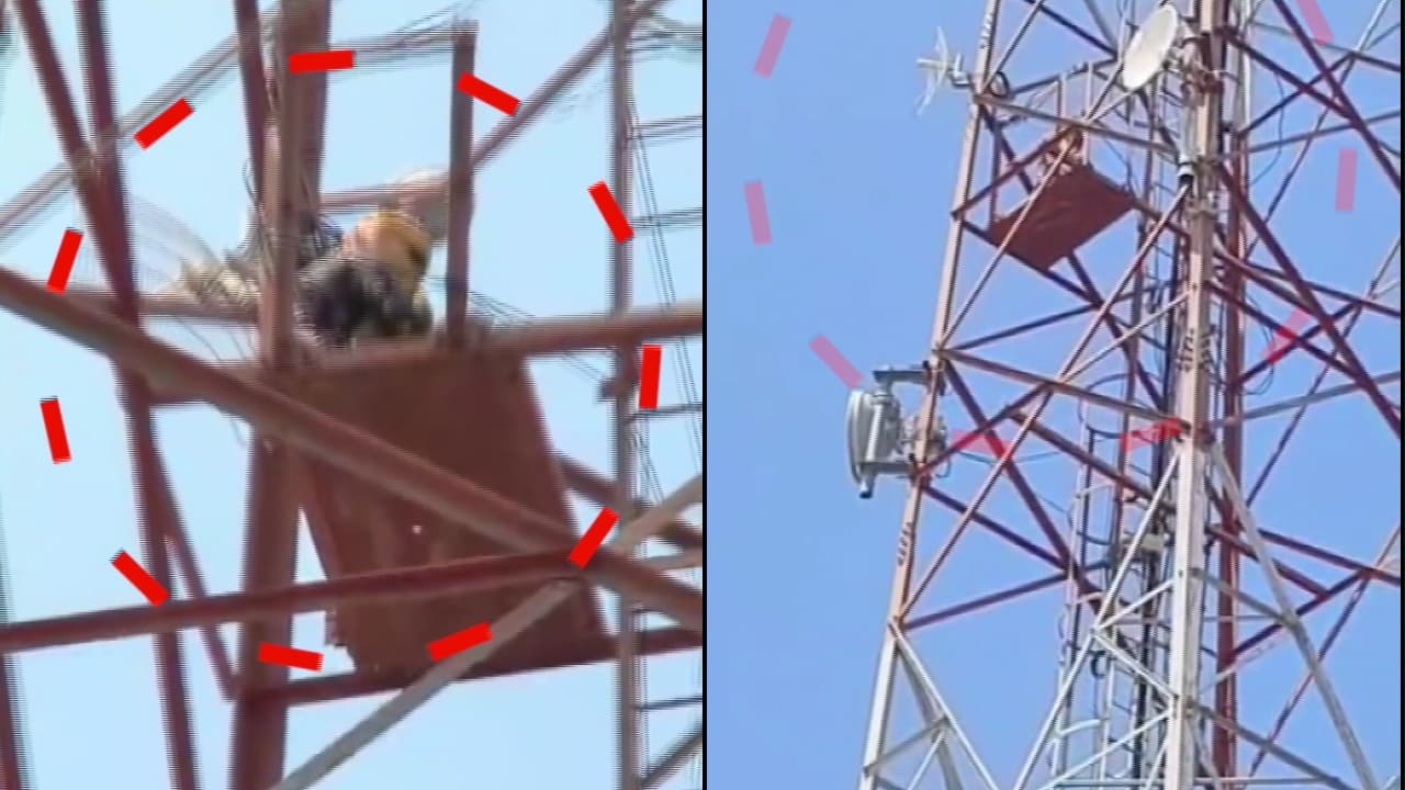 Bengaluru Mobile Tower Drama Bengaluru Mobile Tower Drama