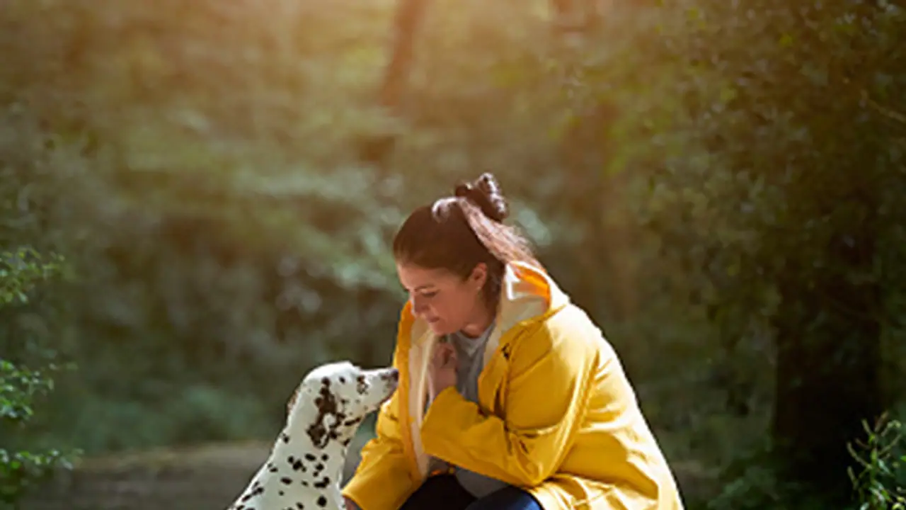 ನಾಯಿ ಸಾಕಲು ಲೈಸೆನ್ಸ್ : ಆದೇಶ ರದ್ದು ನಾಯಿ ಸಾಕಲು ಲೈಸೆನ್ಸ್ : ಆದೇಶ ರದ್ದು