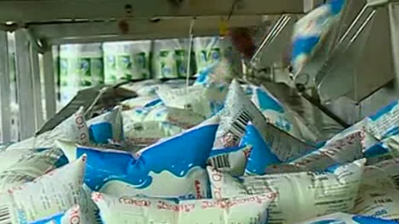 ವರುಣನ ಆರ್ಭಟಕ್ಕೆ ಹೈನುಗಾರಿಕೆ ತತ್ತರ: ಚಾಮರಾಜನಗರ ಹಾಲು ಒಕ್ಕೂಟಕ್ಕೆ ಭಾರೀ ನಷ್ಟ ವರುಣನ ಆರ್ಭಟಕ್ಕೆ ಹೈನುಗಾರಿಕೆ ತತ್ತರ: ಚಾಮರಾಜನಗರ ಹಾಲು ಒಕ್ಕೂಟಕ್ಕೆ ಭಾರೀ ನಷ್ಟ