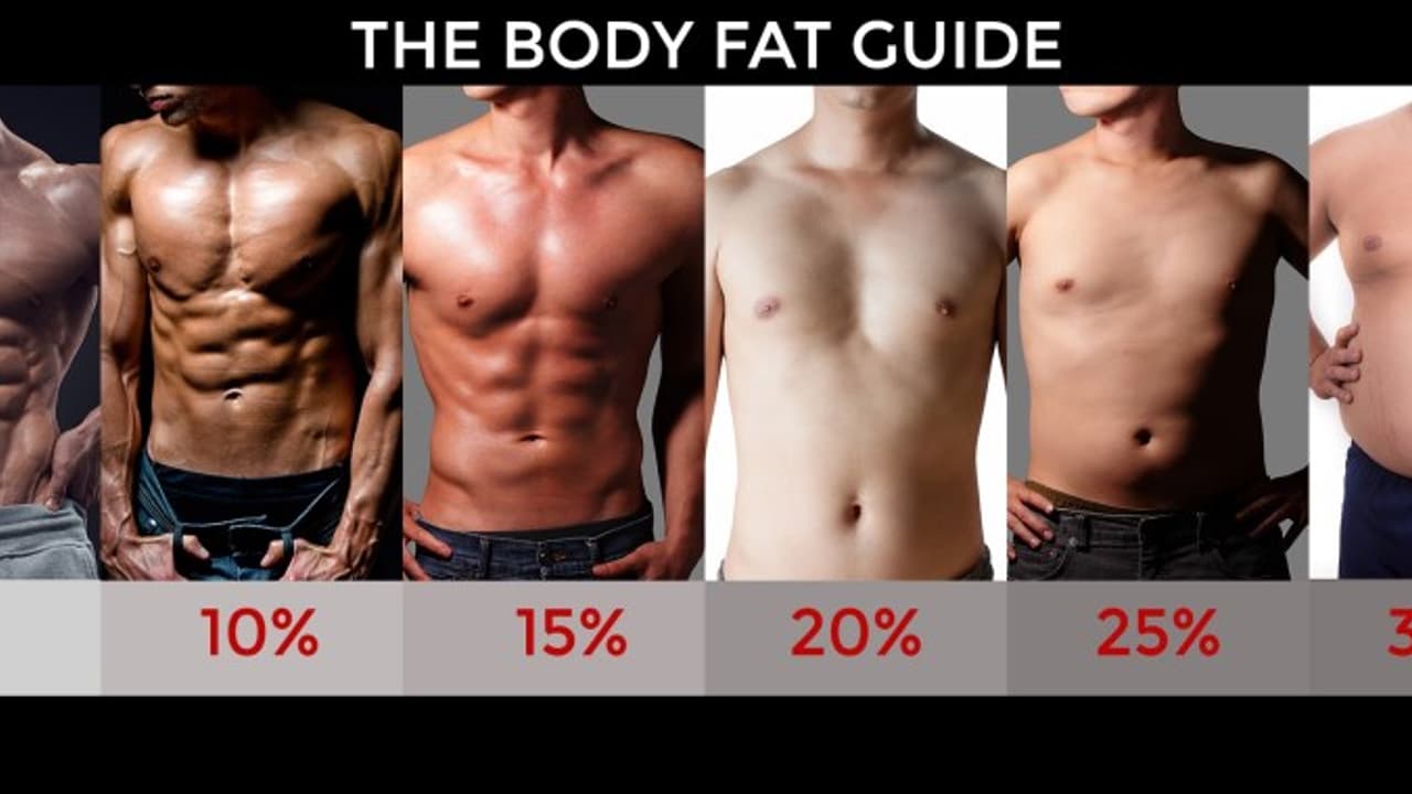 உடல் பருமனை குறைக்கனுமா? அப்போ முதலில் கொழுப்பைக் குறைங்க... உடல் பருமனை குறைக்கனுமா? அப்போ முதலில் கொழுப்பைக் குறைங்க...