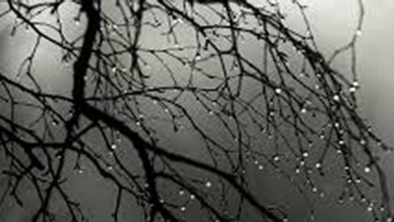 കനത്തമഴ; ജാഗ്രതാനിര്ദ്ദേശം; വിദ്യാഭ്യാസ സ്ഥാപനങ്ങൾക്ക് അവധി കനത്തമഴ; ജാഗ്രതാനിര്ദ്ദേശം; വിദ്യാഭ്യാസ സ്ഥാപനങ്ങൾക്ക് അവധി