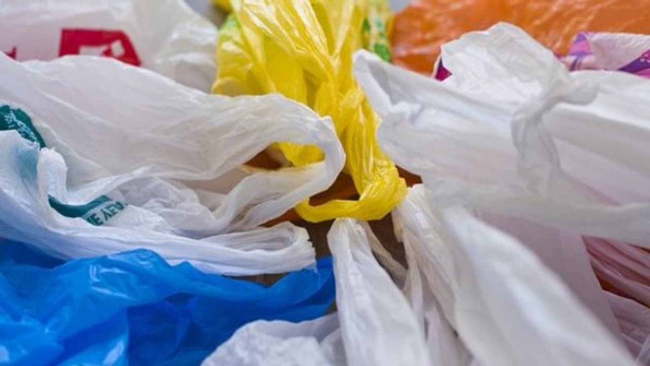 Hyderabad high court makes plastic ban in temples compulsory