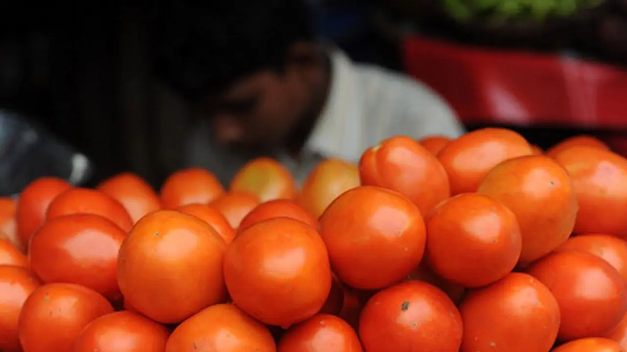 പാകിസ്ഥാനില് തക്കാളിക്ക് കിലോ 300; കാരണം ഇന്ത്യ പാകിസ്ഥാനില് തക്കാളിക്ക് കിലോ 300; കാരണം ഇന്ത്യ