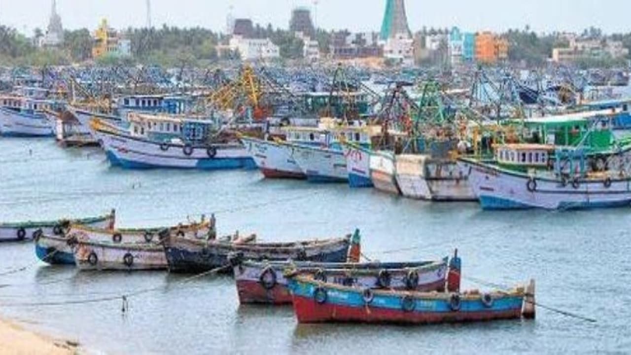 இனி 45 நாட்களுக்கு மீன் தட்டுப்பாடு தொடங்கியது மீன்பிடி தடைக்காலம் இனி 45 நாட்களுக்கு மீன் தட்டுப்பாடு தொடங்கியது மீன்பிடி தடைக்காலம்