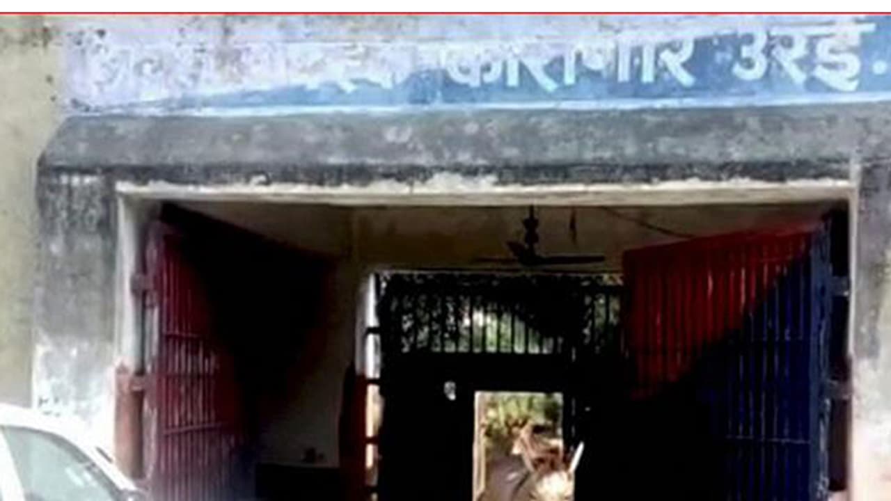 ಕತ್ತೆಗಳನ್ನು ಜೈಲಿಗೆ ಕಳಿಸಿದ ಪೊಲೀಸರು: ಅಷ್ಟಕ್ಕೂ ಅವು ಮಾಡಬಾರದ ತಪ್ಪೇನು ಗೊತ್ತೆ ?