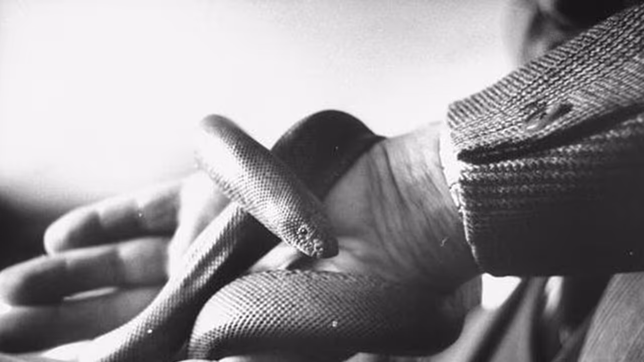 Malaysian superstitions create nightmares for Kerala police Malaysian superstitions create nightmares for Kerala police