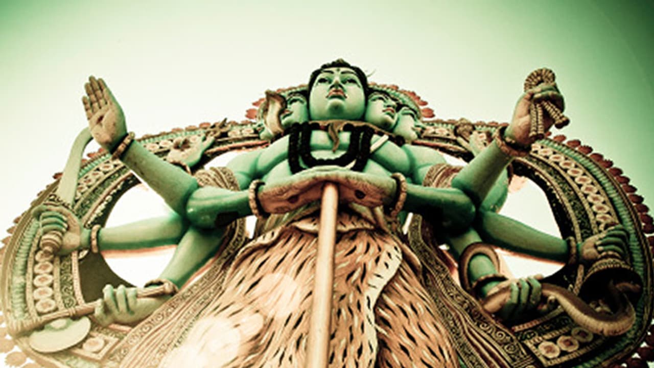 Andhra village in lockdown over five drops of blood festival Andhra village in lockdown over five drops of blood festival