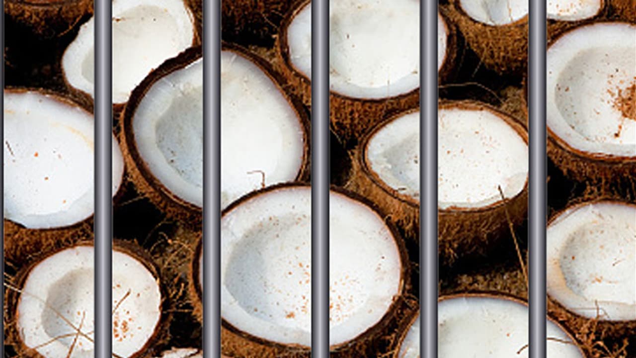 Jail authorities to HC: Will not allow coconuts in the prison Jail authorities to HC: Will not allow coconuts in the prison