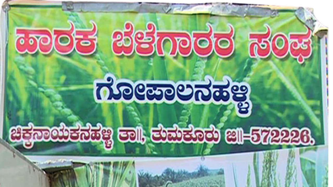 ಸಿರಿಧಾನ್ಯ ಸಂರಕ್ಷಕರ ಸಂಘ : ಅಸಾಮಾನ್ಯ ಕನ್ನಡಿಗ ಸಿರಿಧಾನ್ಯ ಸಂರಕ್ಷಕರ ಸಂಘ : ಅಸಾಮಾನ್ಯ ಕನ್ನಡಿಗ